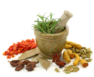 कास्कीमा आयुुर्वेदिक उपचारमा आकर्षण बढ्दै