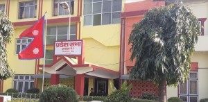प्रदेशको नाम कोशी स्वीकार्न ठूला चार दलको अपील
