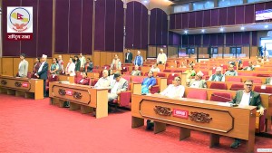 एमालेको अवरोधपछि राष्ट्रिय सभा बैठक स्थगित 