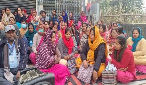 तलब नपाएपछि १२ दिनदेखि सम्पूर्ण कार्यालय ठप्प