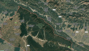 आन्तरिक तथा भारतीय पर्यटकको चहलपहलसँगै पदयात्रा गर्नेको भीड