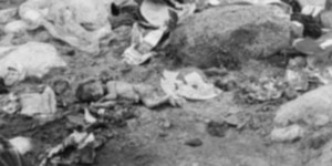 फोहोर फाल्ने ठाउँमा नवजात शिशुको शव फेला