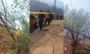 बोधिचित्तको रुख काटेको आरोपमा चारजना पक्राउ