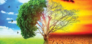 जलवायुजन्य विपद्का कारण सन् २०२१ मा अर्बौँ डलरको आर्थिक नोक्सानी