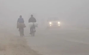 तराई–मधेशमा हुस्सु कुहिरो उस्तै, जनजीवन प्रभावित