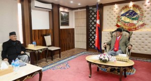 उच्चस्तरीय राजनीतिक संयन्त्रको बैठक स्थगित