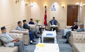 संवैधानिक परिषदसम्बन्धी विधेयक संसदबाट पारित हुने