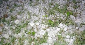 डाेटीमा असिनापानीले हिउँदे बालीमा क्षति