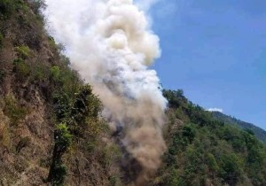दक्षिण ललितपुरको प्युटार जंगलमा भीषण आगलागी, दर्जनौँ घर जोखिममा