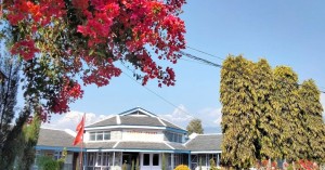 गण्डकी उपसभामुखमा एमालेकी बीनाकुमारी थापा निर्वाचित