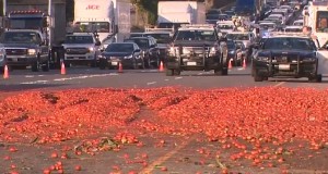 गोलभेडा पोखिदा सडक अवरुद्ध, ७ वटा कार दुर्घटनामा