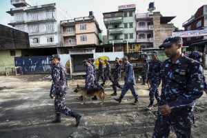 चुनावी सुरक्षा घेरा कडा - काठमाडौंमा डग स्नीफिङदेखि सरप्राइज चेकिङसम्म