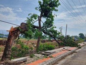 आज ११ जिल्लामा हावाहुरीको जोखिम