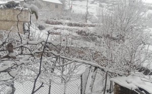 जुम्लामा हिमपात, किसान खुशी