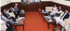 कार्यदलमा प्रदेशसभा तर्फपनि सिट बाँडफाँटबारे छलफल सुरु