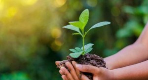 आज विश्व माटो दिवस मनाइँदै