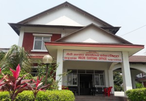 पूर्वी नाकाबाट एक अर्ब ३७ करोडको चिया निर्यात