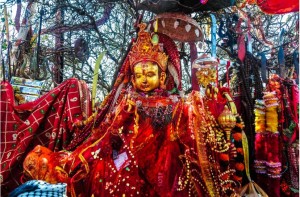 पाथीभरामा तीर्थयात्रीको चाप बढ्यो