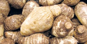 अदुवाभन्दा पिँडालु महँगो