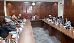 राष्ट्रिय योजना आयोगको सदस्यमा ज्ञवाली सहित तीन जना नियुक्त