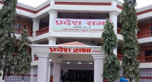 मधेस प्रदेश : प्रदेशसभाको दुई विषयगत समितिको सभापति पदका लागि मतदान हुँदै