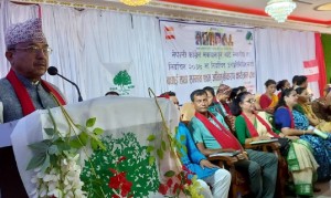 संघ र प्रदेशमा बहुमत ल्याउने कांग्रेसको लक्ष्य : उपसभापति खड्का