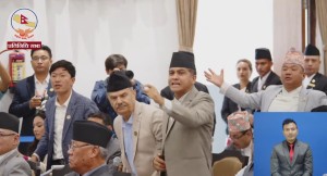 संसद्‌मा अमर्यादित व्यवहार देखाउने सांसदमाथि छानबिन गर्न समिति गठन