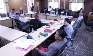 सांसदको प्रस्ताव - दाइजोको नाममा गरिने हिंसालाई पनि यौनजन्य हिंसाको रुपमा लिनुपर्छ