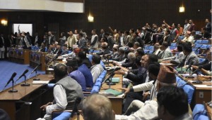 प्रतिनिधिसभा बैठक १५ मिनेटका लागि स्थगित