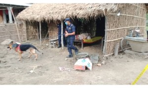 सुतिरहेको अवस्थामा धारिलो हतियार प्रहार गरी बाबु–छोराको हत्या