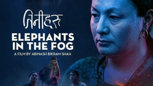 अस्करको अन्तर्राष्ट्रिय फिचरमा नेपालबाट ‘तिनीहरू-एलिफेन्ट्स इन द फग’ छनोट