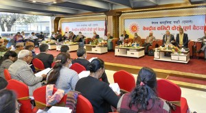 एमालेले तोक्यो ७ प्रदेशमा नयाँ इञ्चार्ज