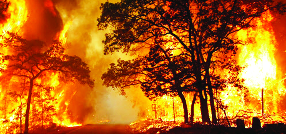 डढेलो निभाउन जाँदा म्याग्दीमा एकको मृत्यु, एक जना गम्भीर घाइते