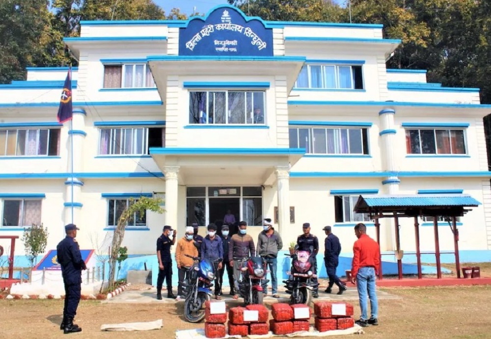 सिन्धुलीमा एक सय १५ किलो लागुऔषध गाँजा सहित चार पक्राउ