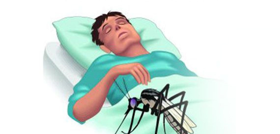 भियतनामको हनोइमा डेङ्गुका बिरामी बढे