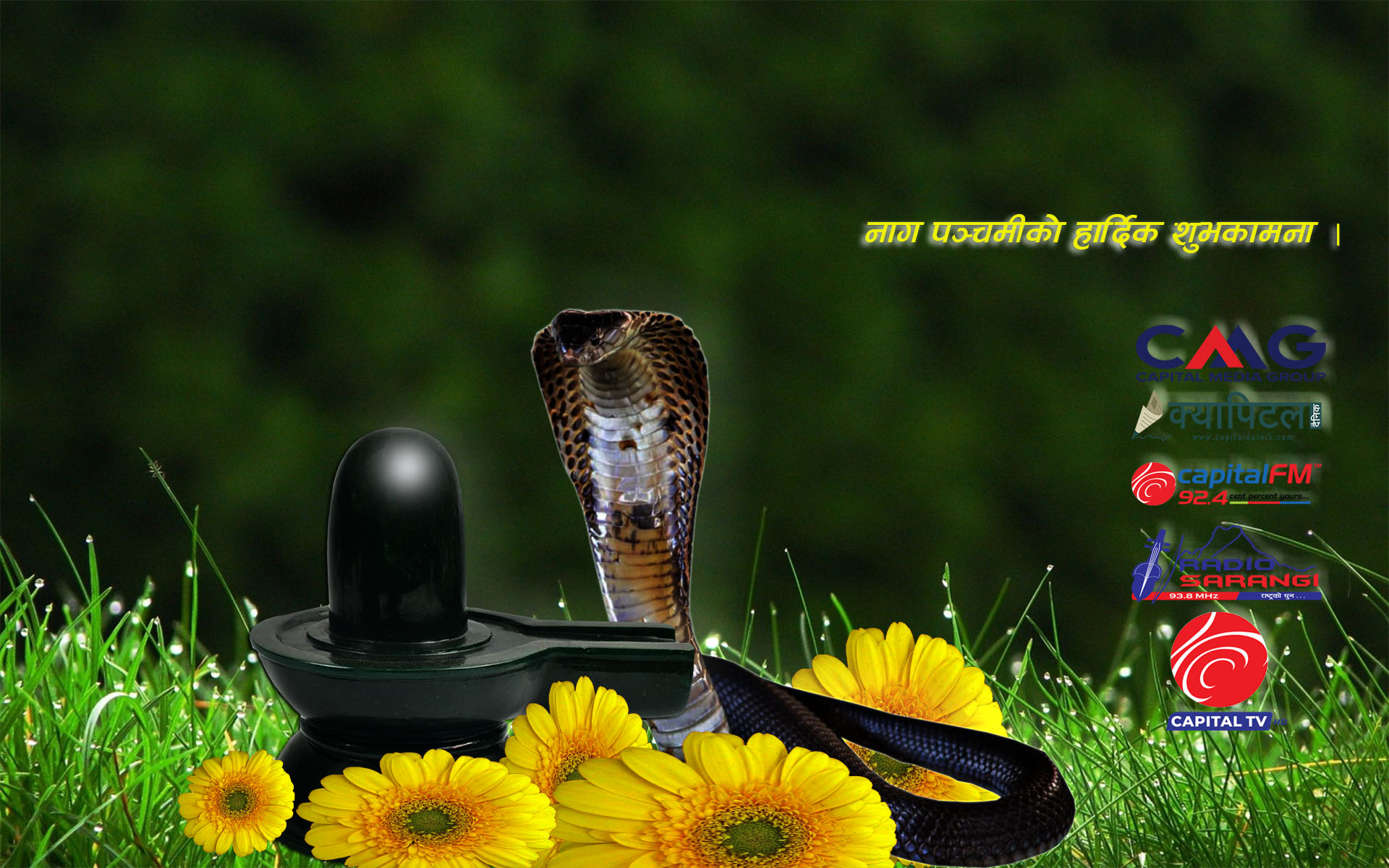 आज नाग पञ्चमी, नागको पूजा अर्चना गरिंदै