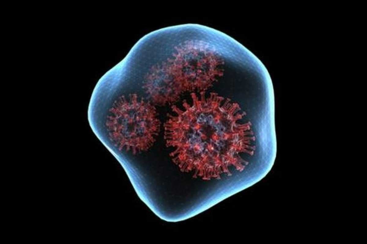 नेपालमा हालसम्म २७ जनामा कोरोनाभाइरसको ओमिक्रोन भेरियन्ट पुष्टि