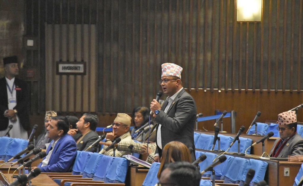 प्रतिनिधिसभा बैठक जारी 