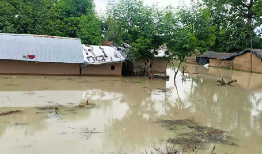 दाङकाे देउखुरी क्षेत्रमा दर्जन बढी घर डुबानमा