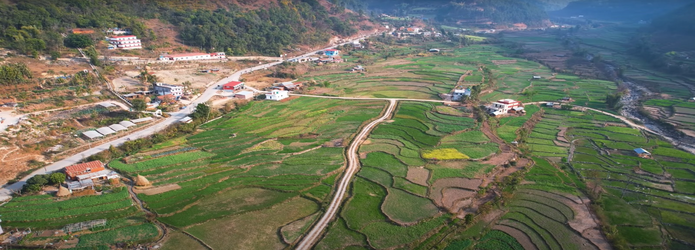 स्थानीय तह कार्यसम्पादनमा पाणिनि पहिलो