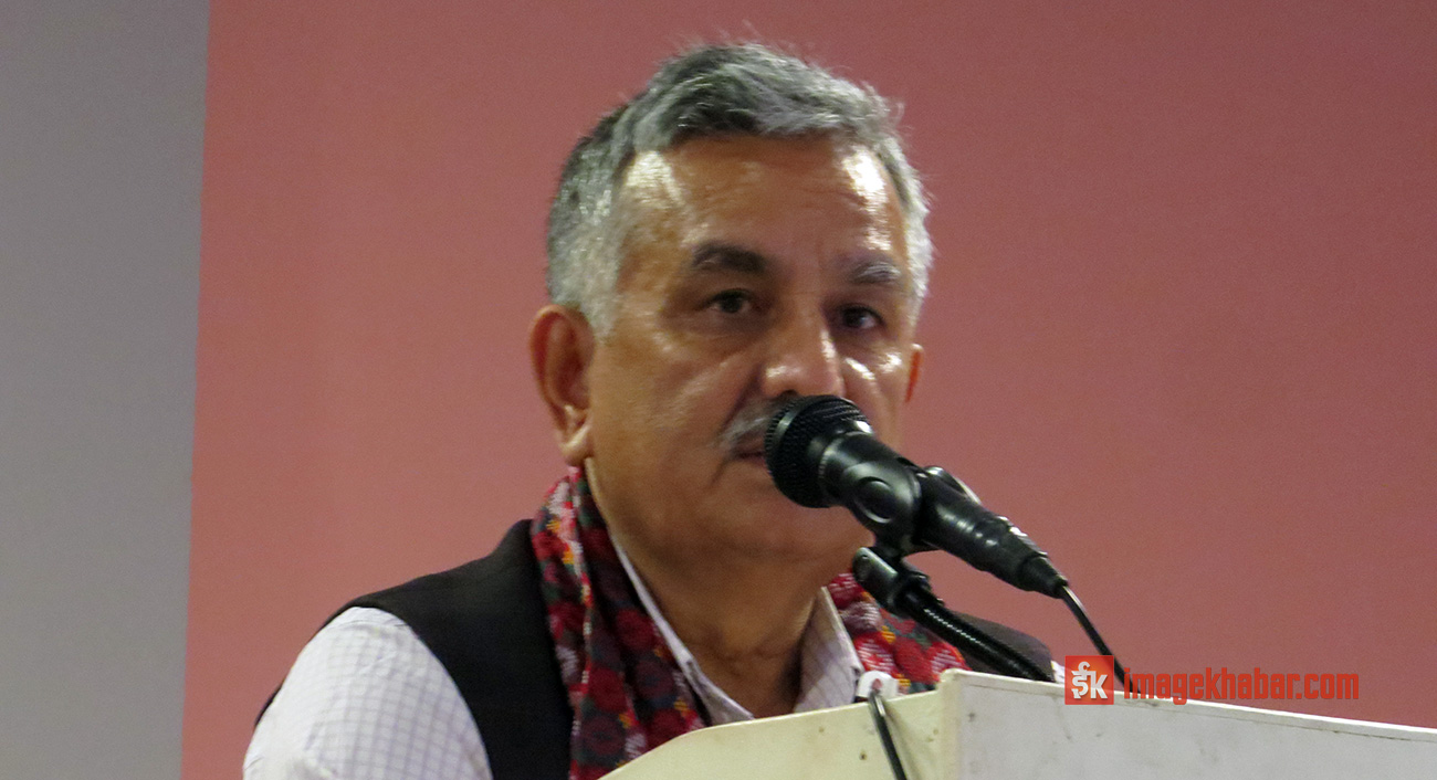 एमाले सरकार गठनको दौडमा छैन : उपाध्यक्ष पाण्डे