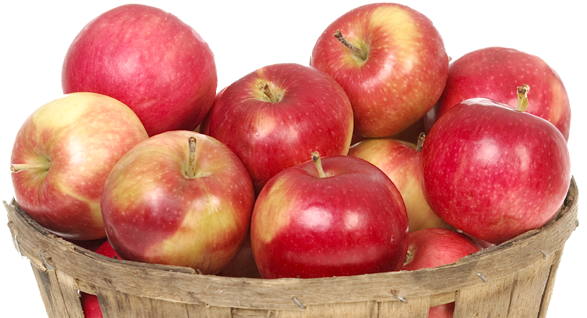 साउन महिनामा भित्रियो ९२ लाख किलो स्याउ