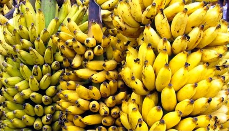 चालू आर्थिक वर्षको तीन महिनामा विदेशबाट १६ करोड बढिको केरा आयात