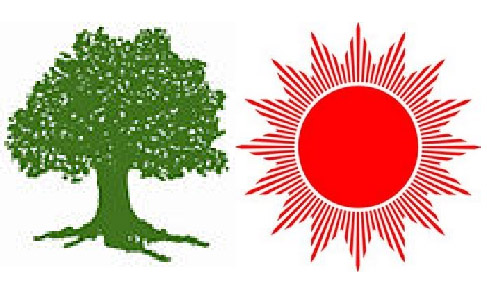 आम चुनाव मतपरिणाम : कांग्रेस ३५, एमाले ३२, माओवादी ९, रास्वपा ८ अग्रस्थानमा