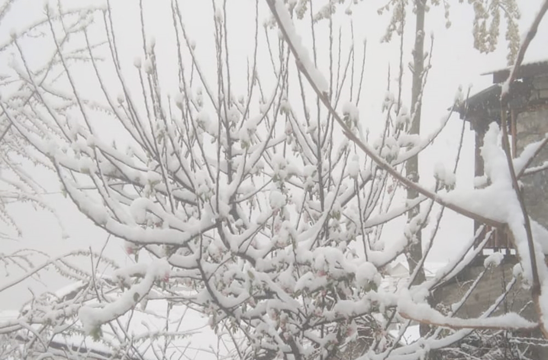 भारी हिमपातका कारण मनाङमा खोप अभियान स्थगित