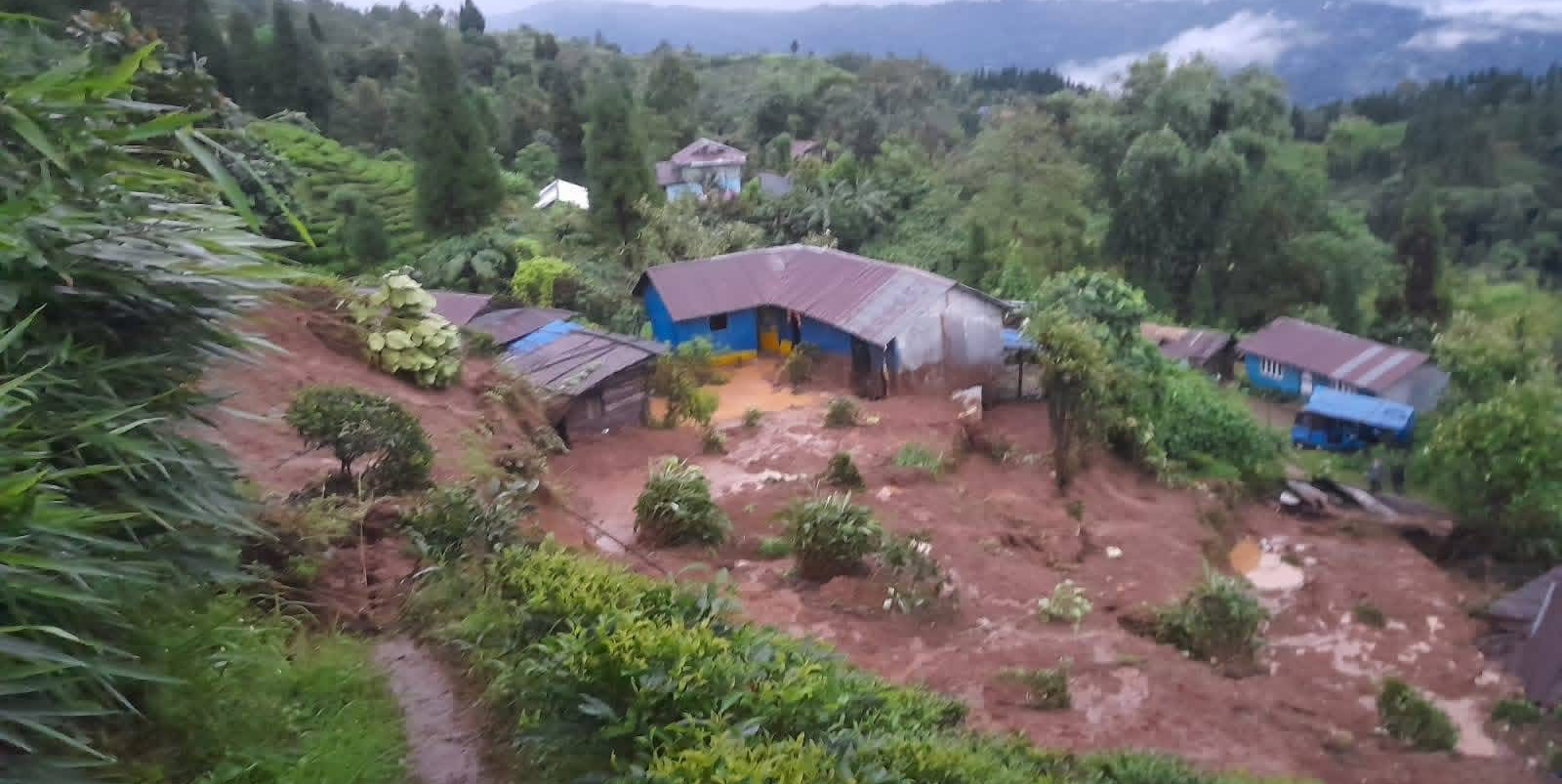 विपद्को घटनामा ४९ जनाको मृत्यु