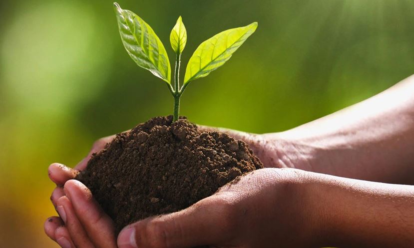 सरकारले पहिलोपटक राष्ट्रिय कृषि जैविक विविधता दिवस मनाउँदै