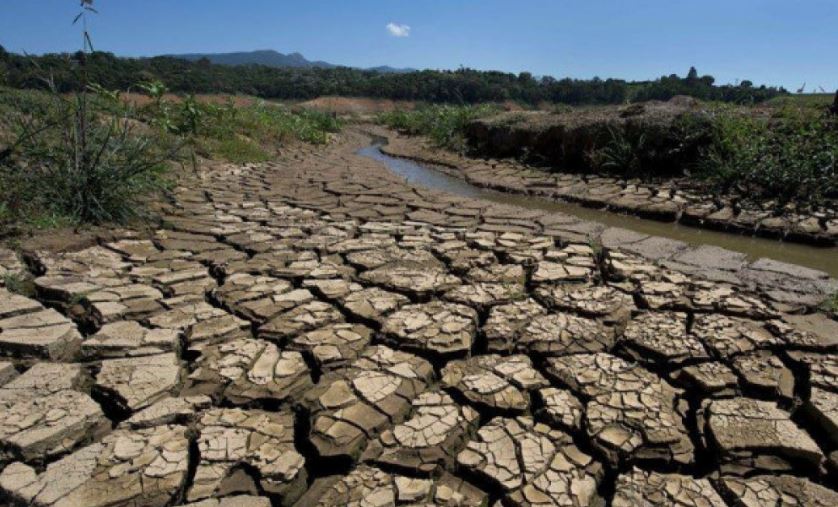 अफ्रिकी महाद्वीपको मध्य र पूर्वमा खडेरीका कारण जनजीवनसँगै आप्रवासी चराहरू समेत खतरामा 