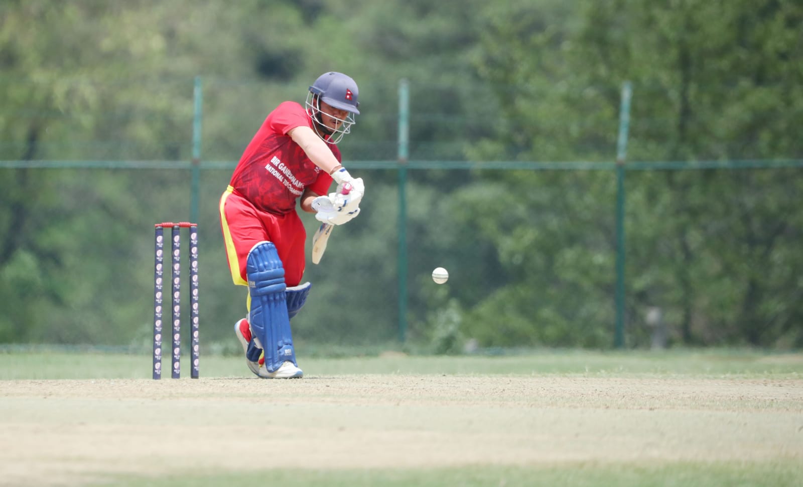 राष्ट्रिय क्रिकेटः गण्डकी प्रदेश विजयी