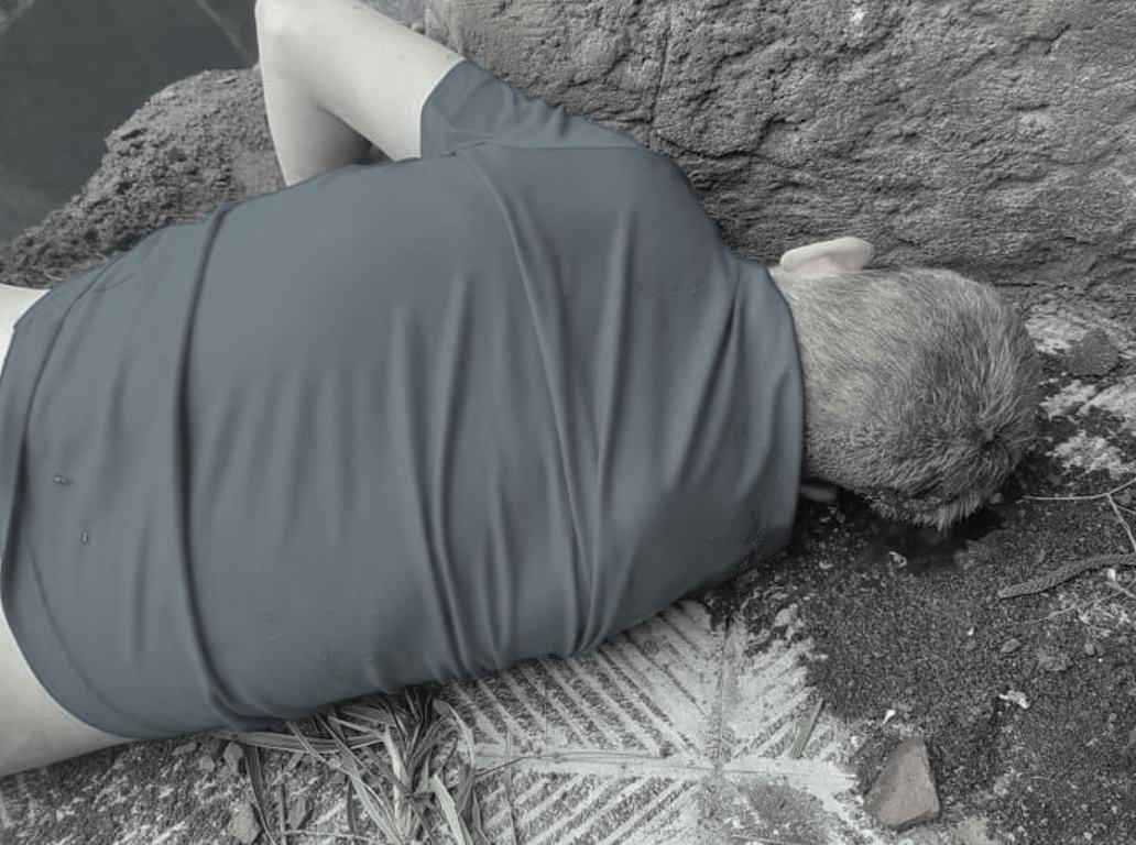 ठमेलमा होटलको सातौँ तलाबाट खसेर विदेशी नागरिकको मृत्यु 